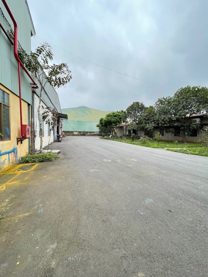 Bán 3ha Đất Công Nghiệp tại Bình Định