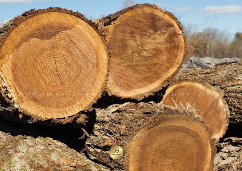 Bán buôn gỗ các loại gỗ Nhập Khẩu Nam Phi