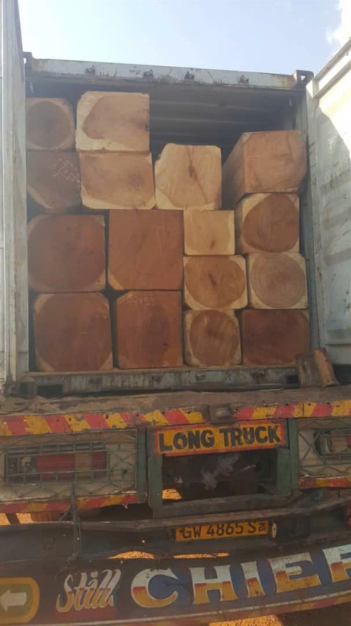 Bán buôn gỗ các loại gỗ Nhập Khẩu Nam Phi